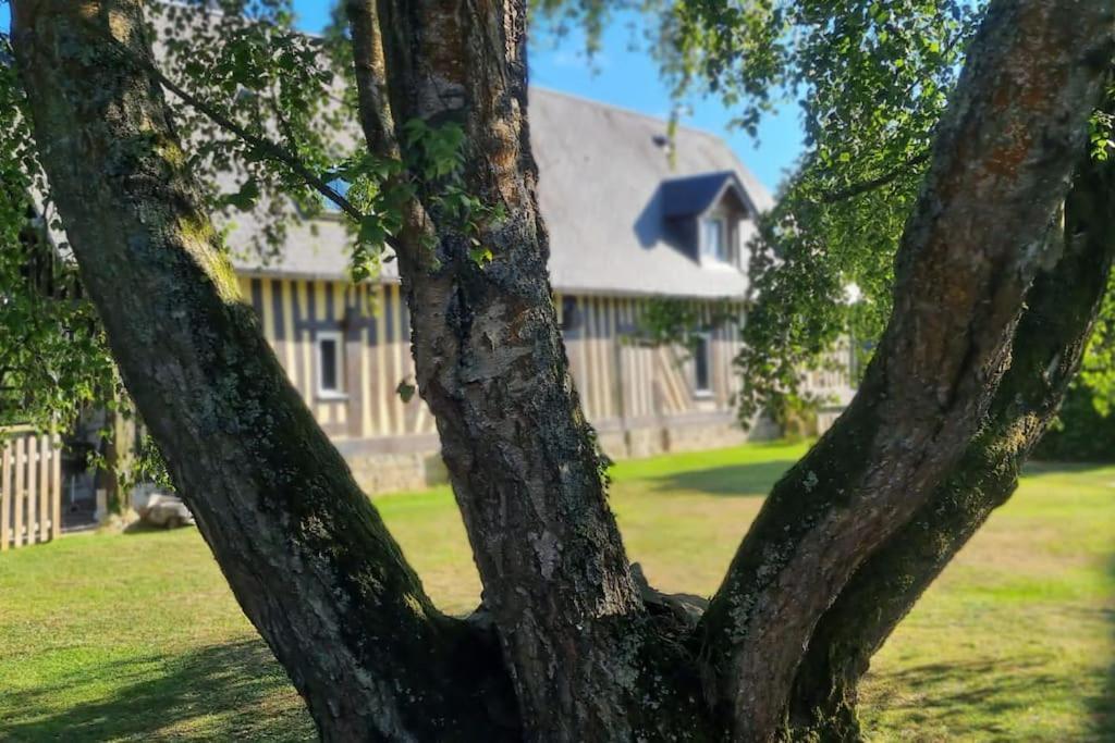Maison A Colombages Pres De Deauville, Trouville Formentin Екстериор снимка